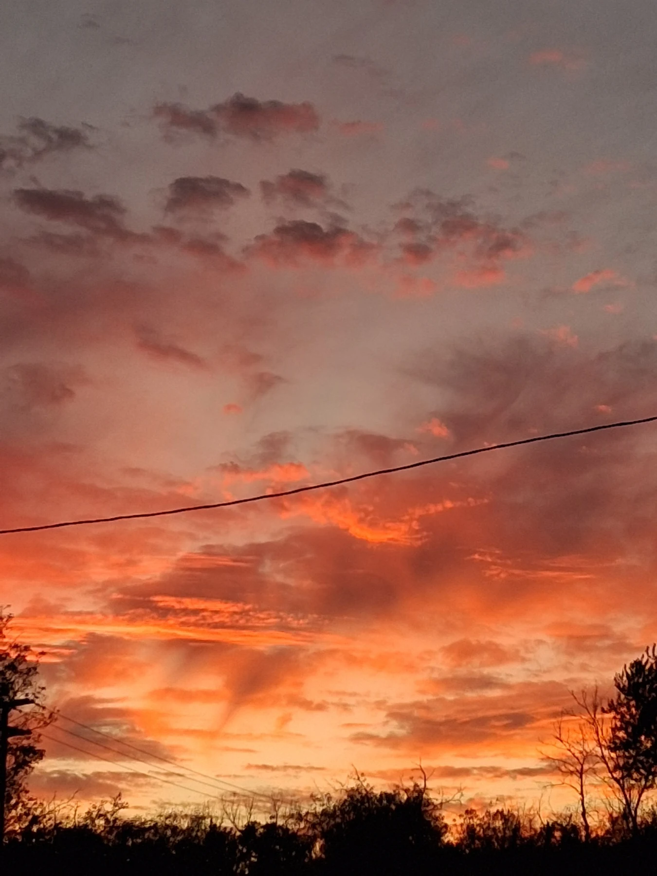 Orange sunset clouds above silhouetted trees and overhead utility lines.