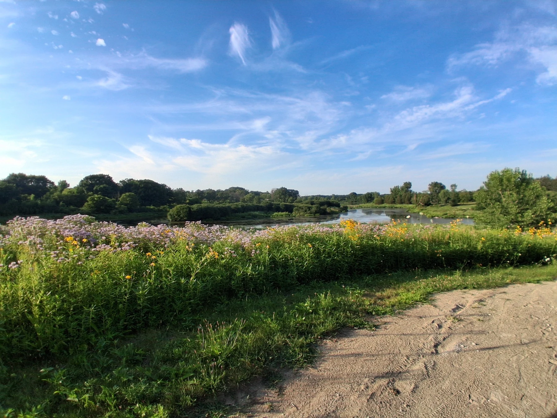 A path beside a green meadow and wildflowers beneath a blue sky.